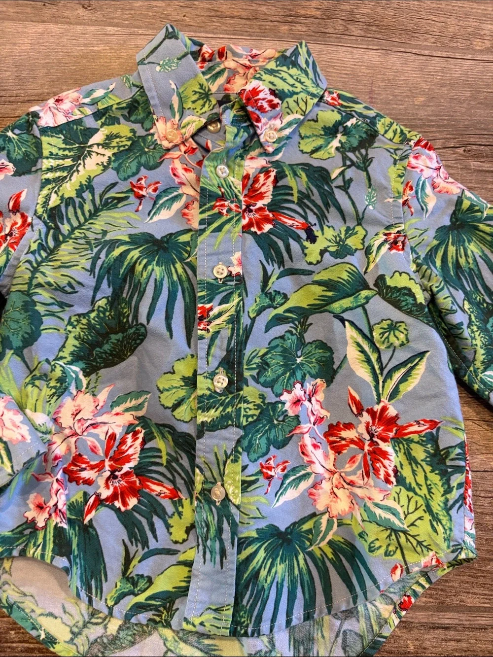 Ralph Lauren toddler, boys 2t Tropical button down Hawaiian shirt